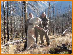 Predator Hunt